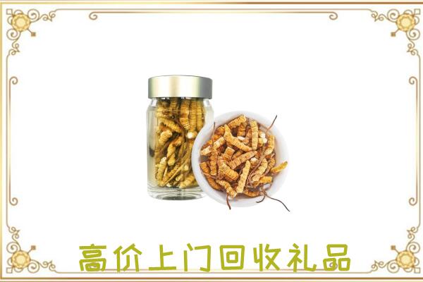 屯昌周边回收虫草